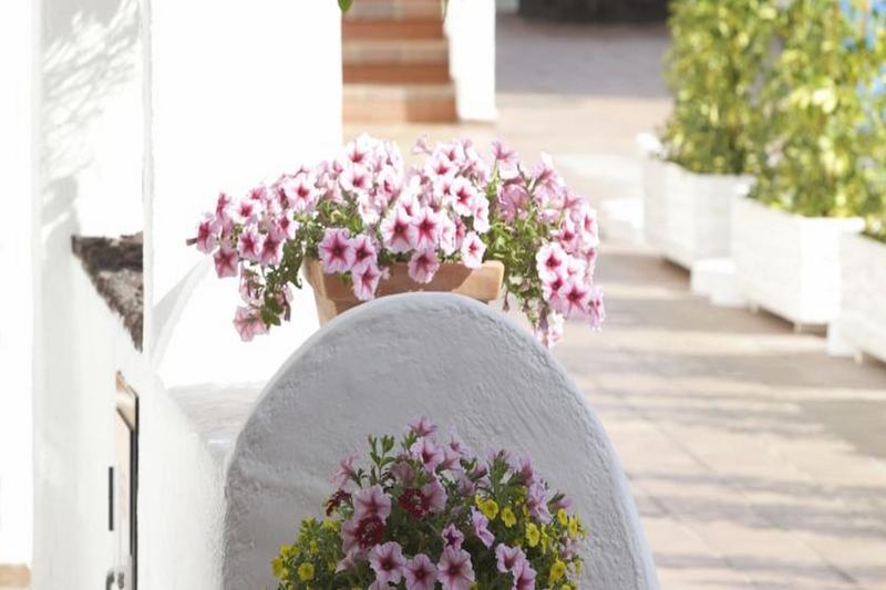 Beverly Hills Suites - Excel Hotels & Resorts Los Cristianos  Esterno foto